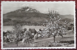 Luzern - Mit Pilatus "Frühling Am Vierwaldstättersee" - Lucerna