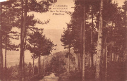 [43]  AUREC SUR LOIRE - Sur La Route D'OUILLAS Cpa 1935 (accidentée) ♠♠♠ - Autres & Non Classés