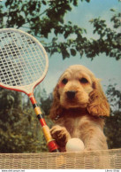 Photographe Animalier JEAN TOURANE N° 16 LES ANIMAUX DE JEAN TOURANE - Chien Humanisé Jouant Au Tennis Cpsm GF ♥♥♥ - Autres & Non Classés