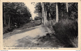 [43] LE CHAMBON-sur-LIGNON Un Sous-bois Aux Airelles - Edition Prosper Berthéas - Cpsm 1946 ♦♦♦ - Le Chambon-sur-Lignon