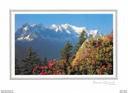 PHOTOGRAPHE RENÉ GÉRARD - IMAGE DE MONTAGNE - COULEUR DE L'ÉTÉ - ÉDIT.EDY - CPM ♥♥♥ - Andere & Zonder Classificatie