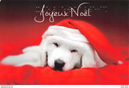 CHIEN LABRADOR - JOYEUX NOEL MEILLEURS VOEUX (en Braille)  CPM ♥♥♥ - Autres & Non Classés