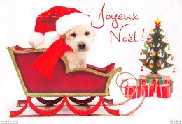 CHIEN LABRADOR - JOYEUX NOEL MEILLEURS VOEUX (en Braille)  CPM ♥♥♥ - Autres & Non Classés