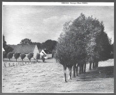 1980  --  BELGIQUE . BIERGES . VUE DU VILLAGE . 4B152 - Ohne Zuordnung