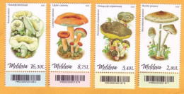 2022  Moldova Moldavie  Mushrooms, Plants, 1set (4v) Mint - Mushrooms