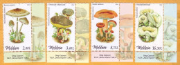 2022  Moldova Moldavie  Mushrooms, Plants, 1set (4v) Mint - Pilze