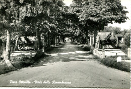 A360 - Cartolina Pieveottoville (PR) - Viale Delle Rimembranze - NON VIAGGIATA - Parma