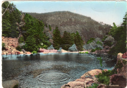 Vallée De Muster - Lac Du Fischboedle - Autres & Non Classés