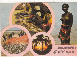 COTE D'IVOIRE. ABIDJAN (ENVOYE DE) .MULTIVUES " SOUVENIR  D'AFRIQUE ". + TEXTE - Ivory Coast