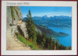 Weggis (LU) - Grüsse Vom Rigi (Felsenweg, Aussicht Gegen Vitznau ...) - Weggis