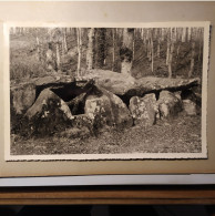 Grande Photographie Ancienne Dolmen De La Contrie Près D'Ernée - Places