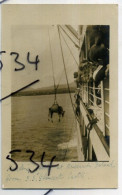 Ascencion Island Landing Cattle From Union Castle Line SS Gloucester Casrle 1900s Real Photo Postcard - Ascension (Ile)