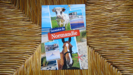 Souvenir De Normandie , Mulri-vues "" Beau Timbre Roulette "" - Haute-Normandie