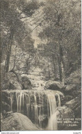 AUSTRALIE - The Weeping Rock And Brindal Veil - Leurr - Sonstige & Ohne Zuordnung