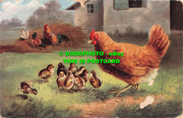 R466949 Chicken. Max Ettlinger. Postcard. 1906 - Monde