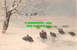 R466950 Birds In Snow. R. Ulreich. M. M. Vienne. M. Munk. Nr. 472. 1909 - Monde