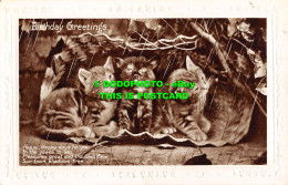 R466957 Birthday Greetings. Cats. Postcard - Monde