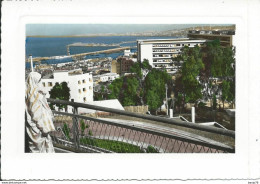 ALGERIE - Alger - Panorama Sur Le Gouvernement Général - Algerien