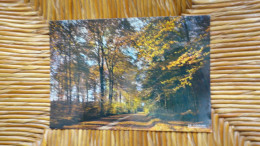 France , Paysage De France , De La Dépouille De Nos Bois L'automne Avait Jonché La Terre - Autres & Non Classés