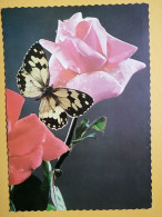 KOV 506-51 - BUTTERFLY, PAPILLON - Schmetterlinge