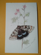 KOV 506-51 - BUTTERFLY, PAPILLON - Butterflies