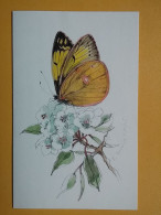 KOV 506-51 - BUTTERFLY, PAPILLON - Schmetterlinge