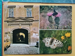 KOV 506-51 - BUTTERFLY, PAPILLON, MUSEUM, MUSEE, ZAGREB, BEE, ABEILLE - Farfalle