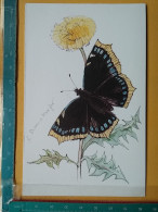 KOV 506-51 - BUTTERFLY, PAPILLON - Papillons