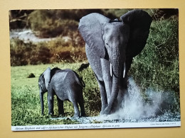 KOV 506-46 - ELEPHANT, ELEFANT, AFRICA,  - Olifanten