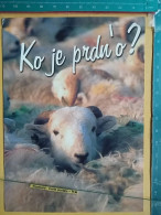 KOV 506-50 - SHEEP, MOUTON, COMIC, HUMOUR, WHO IS FARTING HERE - Sonstige & Ohne Zuordnung