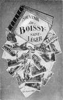 94* BOISSY ST LEGER   Multi Vues     RL45,0395 - Boissy Saint Leger