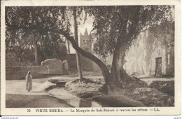 ALGERIE - Vieux Biskra - La Mosquée De Sidi-Maleck à Travers Les Arbres - Biskra