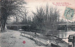 94* CHAMPIGNY  Les Deux Ponts – Ile De L Abreuvoir      RL45,0595 - Champigny Sur Marne