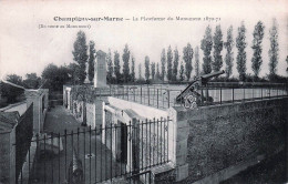 94* CHAMPIGNY  S/MARNE  Plateforme  Du Monument          RL45,0536 - Champigny Sur Marne