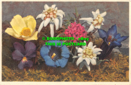 R467060 Alpine Flowers. Stehli. No. 19. Postcard - World