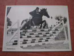 Concours Hippique De St-Aubin - Saut D'obstacle - Equitazione