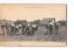 Dans Les Landes - Travaux Agricoles - Très Bon état - Other & Unclassified