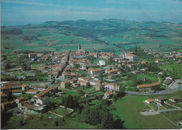 69. SAINT MARTIN EN HAUT. VUE GENERALE AERIENNE. 1987. - Other & Unclassified