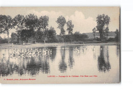 Landes - Paysage De La Chalosse - Une Mare Aux Oies - Très Bon état - Autres & Non Classés