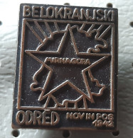 Partisan Detachment Belokranjski Odred 1942 World War II. Slovenia Ex Yugoslavia Pin - Army