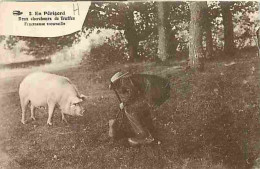 24 - Dordogne - En Périgord - Deux Chercheurs De Truffes - Fructueuse Trouvaille - Animée - Cochon - Folklore - CPA - Vo - Autres & Non Classés