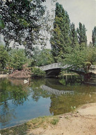 78 - Le Vésinet - Le Parc Des Ibis - CPM - Carte Neuve - Voir Scans Recto-Verso - Le Vésinet