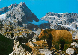 Animaux - Ours - Ours Des Pyrénées - Bear - CPM - Carte Neuve - Voir Scans Recto-Verso - Bears