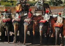 Animaux - Eléphants - Inde - India - Eléphant Taxis , Jaipur , Rajasthan - CPM - Voir Scans Recto-Verso - Éléphants