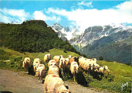 Animaux - Moutons - Moutons Dans Les Pyrénées Au Col D'Aubisque - Carte Gauffrée - CPM - Voir Scans Recto-Verso - Sonstige & Ohne Zuordnung