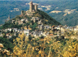 12 - Najac - Vue Générale - Le Château - CPM - Voir Scans Recto-Verso - Najac