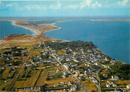 56 - Presqu'Ile De Quiberon - CPM - Voir Scans Recto-Verso - Quiberon