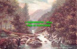 R467421 Bettws Y Coed. Miners Bridge. Picturesque North Wales. Tuck. Oilette. Se - World