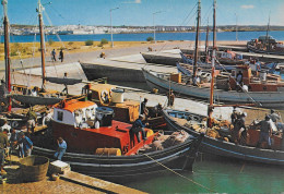 Delcampe - PORTUGAL-VILA REAL DE SANTO ANTÓNIO - Doca Dso Pescado . - Faro