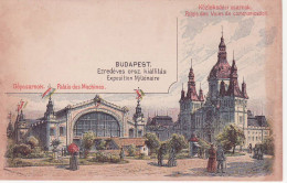 Hungary Pioneer Multi Color Postal Card Palais Des Voies De Communications - Ungheria